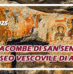 Visita alle catacombe di San Senatore e al museo diocesano di Albano (20 dicembre 2025)